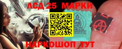 дживик Можга