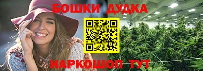 дживик Можга