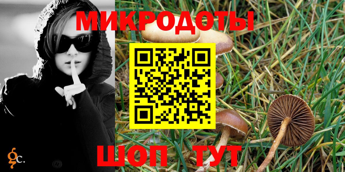 Псилоцибиновые грибы MAGIC MUSHROOMS Дербент