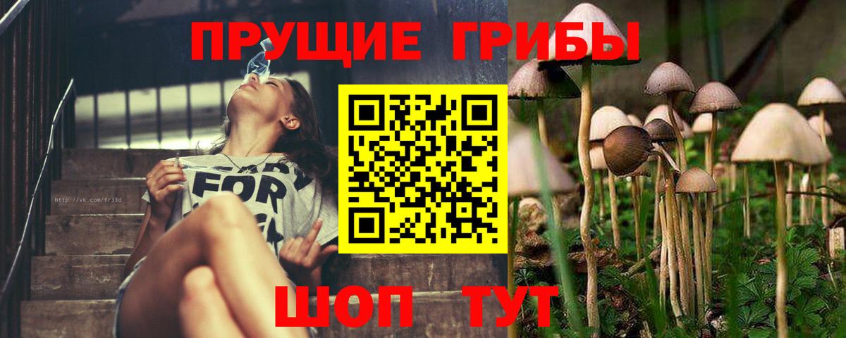 Дербент  Галлюциногенные грибы прущие грибы  Вход с VPN 